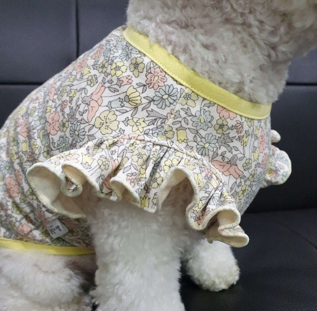 Dog’s Frilled Cotton Shirt