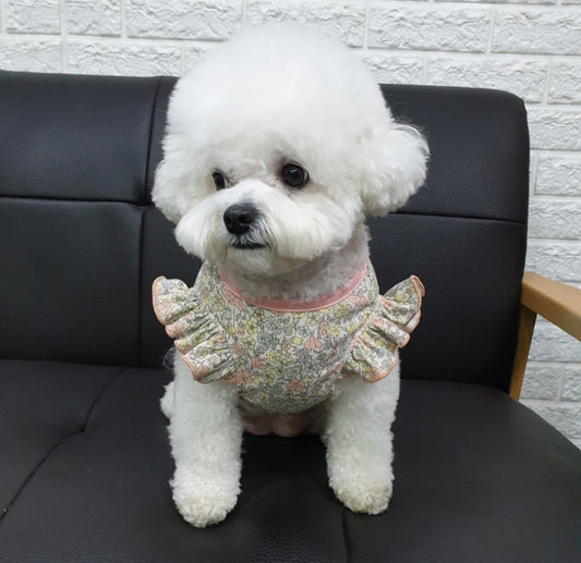 Dog’s Frilled Cotton Shirt