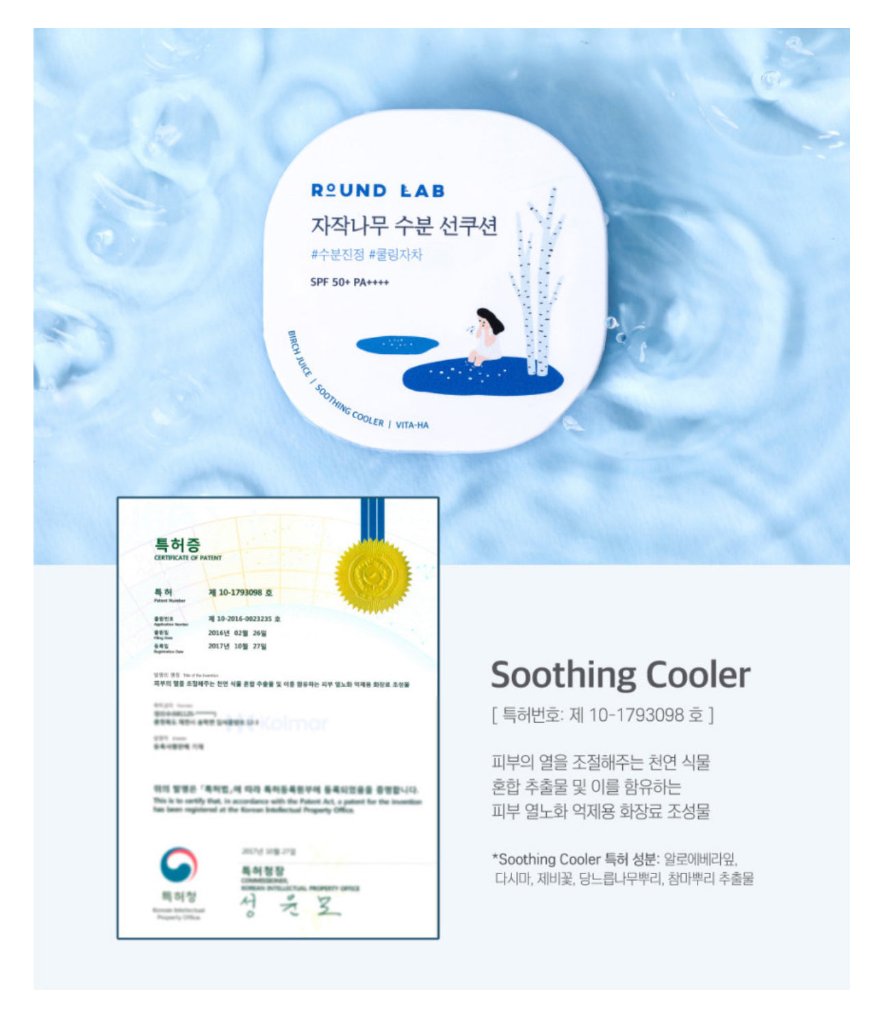 Round Lab Birch Juice Moisturizing UV Lock Sun Cushion SPF50+ | Mineral Sunscreen