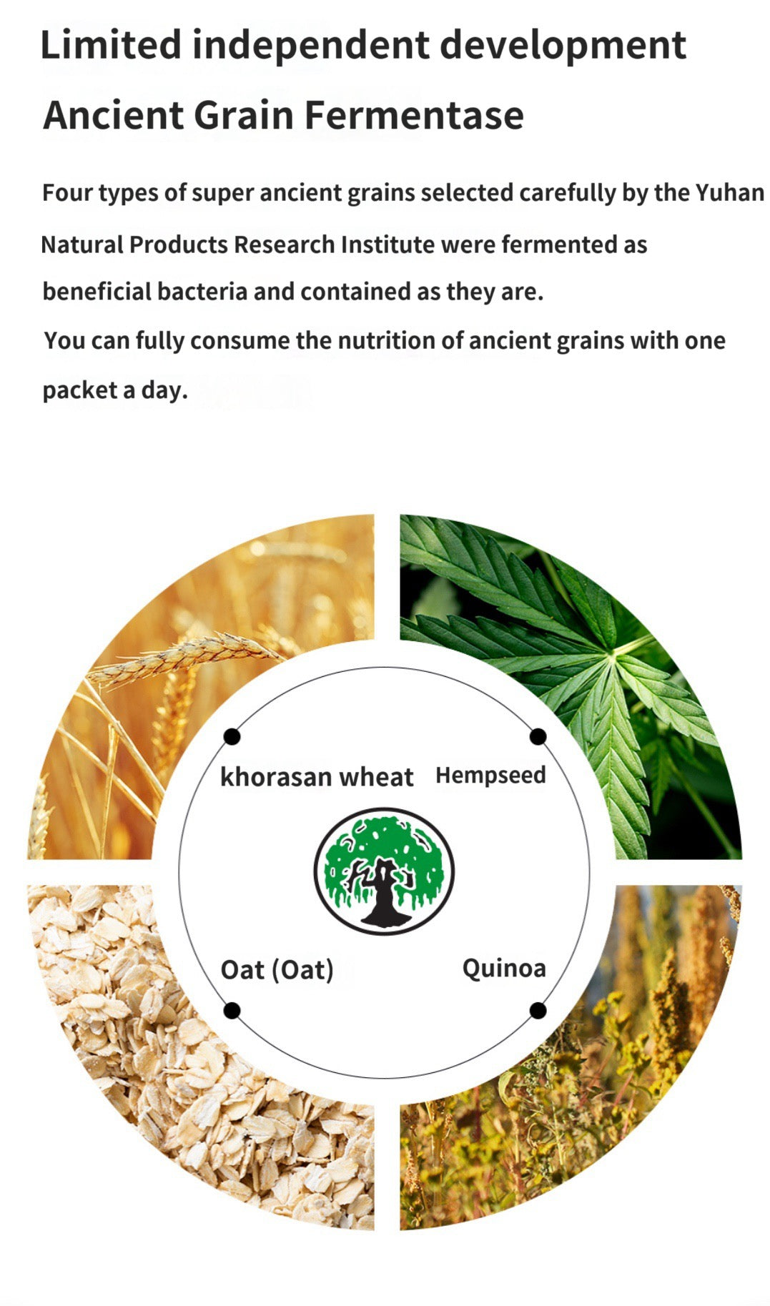 Core Reset Gluten GCD Enzyme: Digest Carbs, Protein, Fats, Gluten