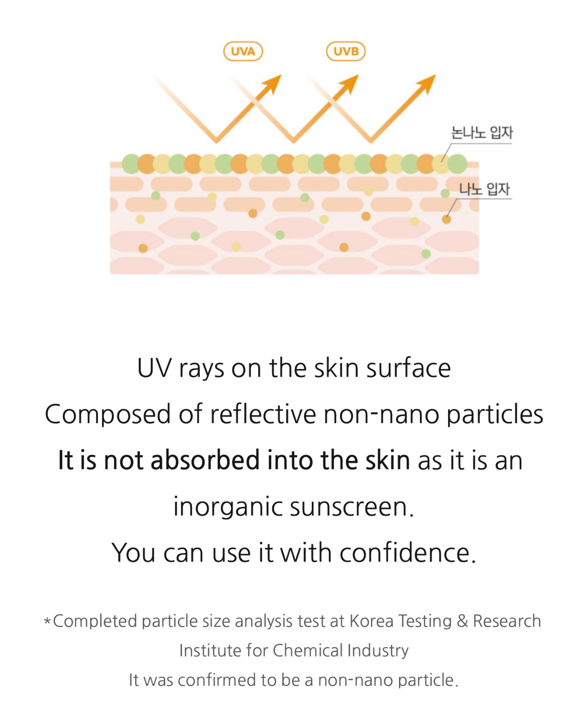 Round Lab Birch Juice Moisturizing UV Lock Sun Cushion SPF50+ | Mineral Sunscreen