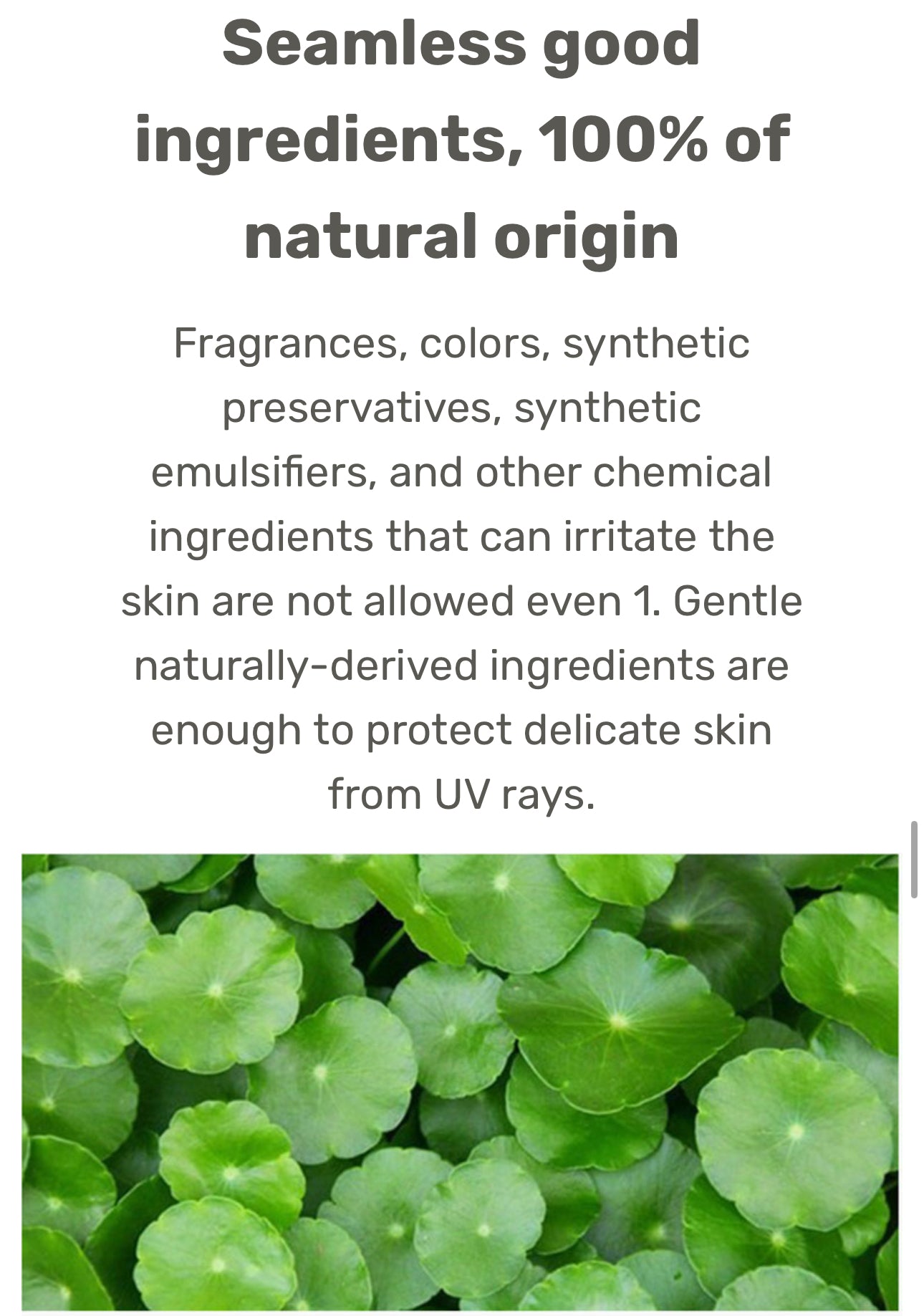 Baby/Kids OrgaBeBe Mineral Sunscreen