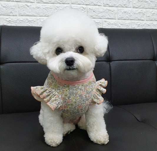 Dog’s Frilled Cotton Shirt